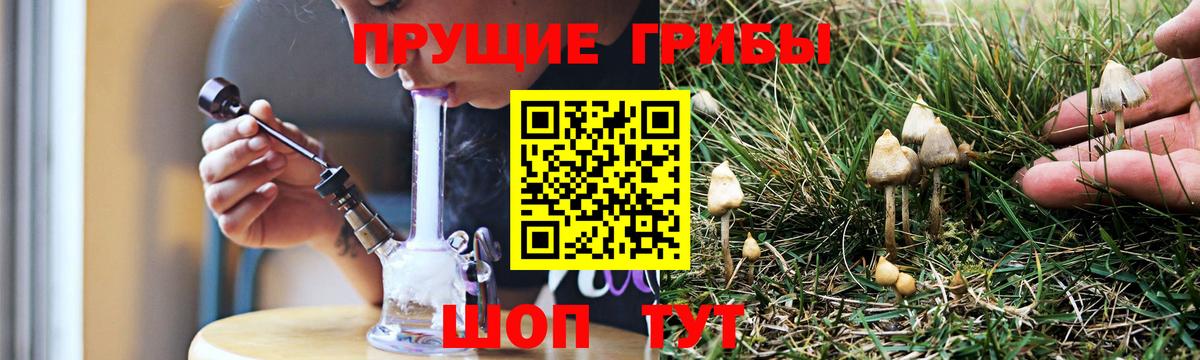 Псилоцибиновые грибы мицелий  Вход с VPN  Котельники 
